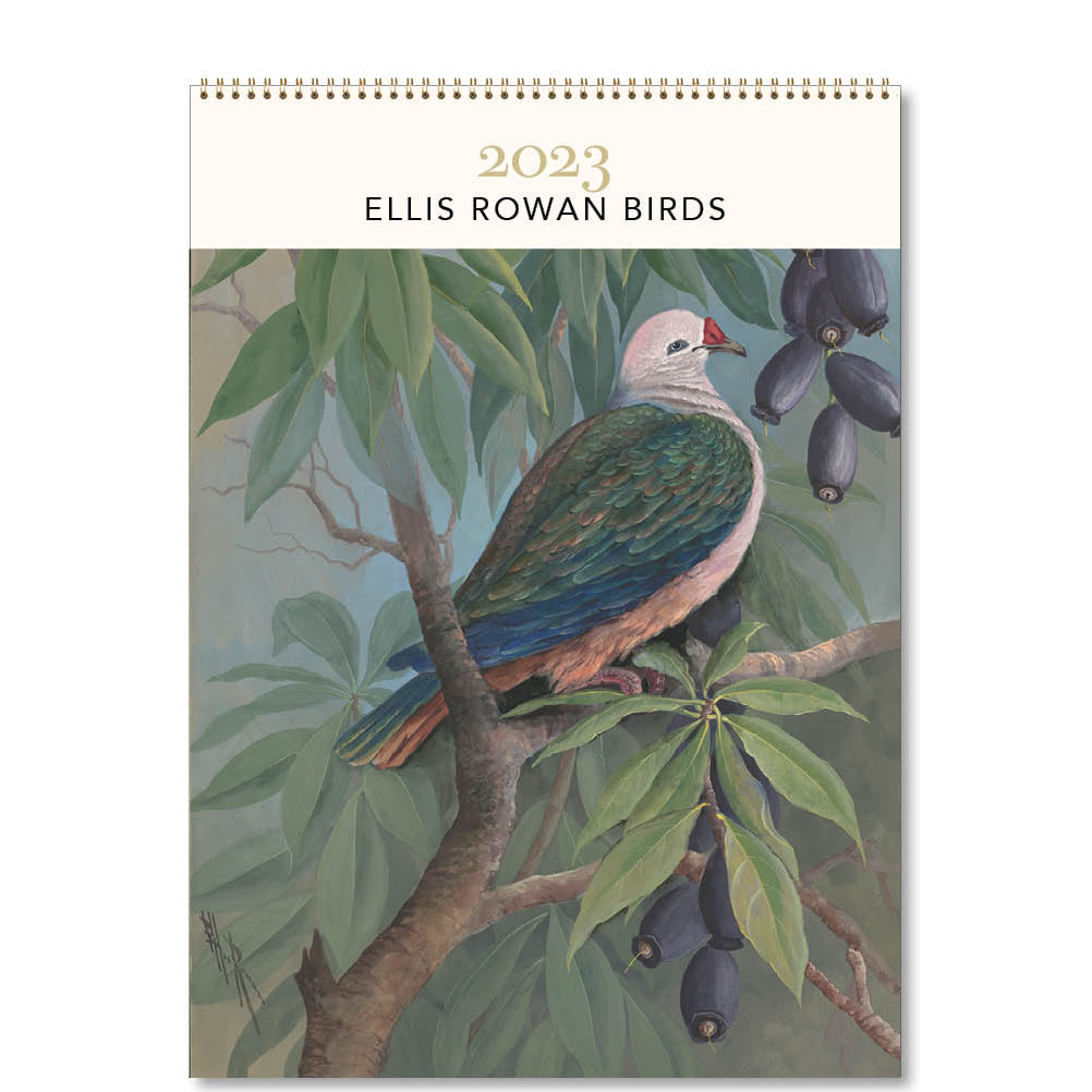 2023 Ellis Rowan Birds - Deluxe Wall Calendar