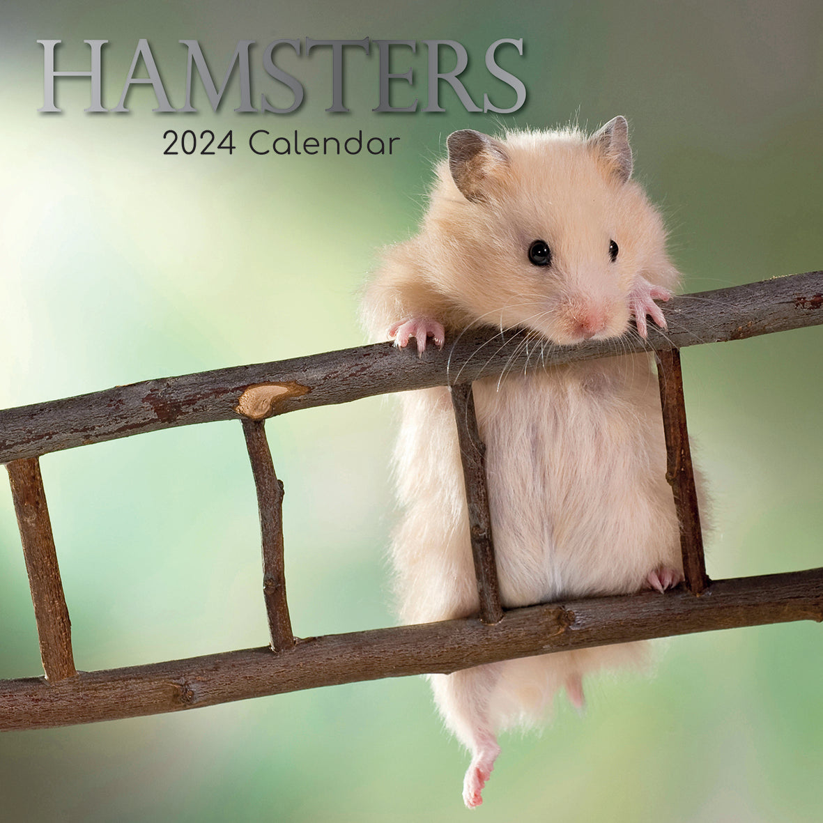 2024 Hamsters - Square Wall Calendar