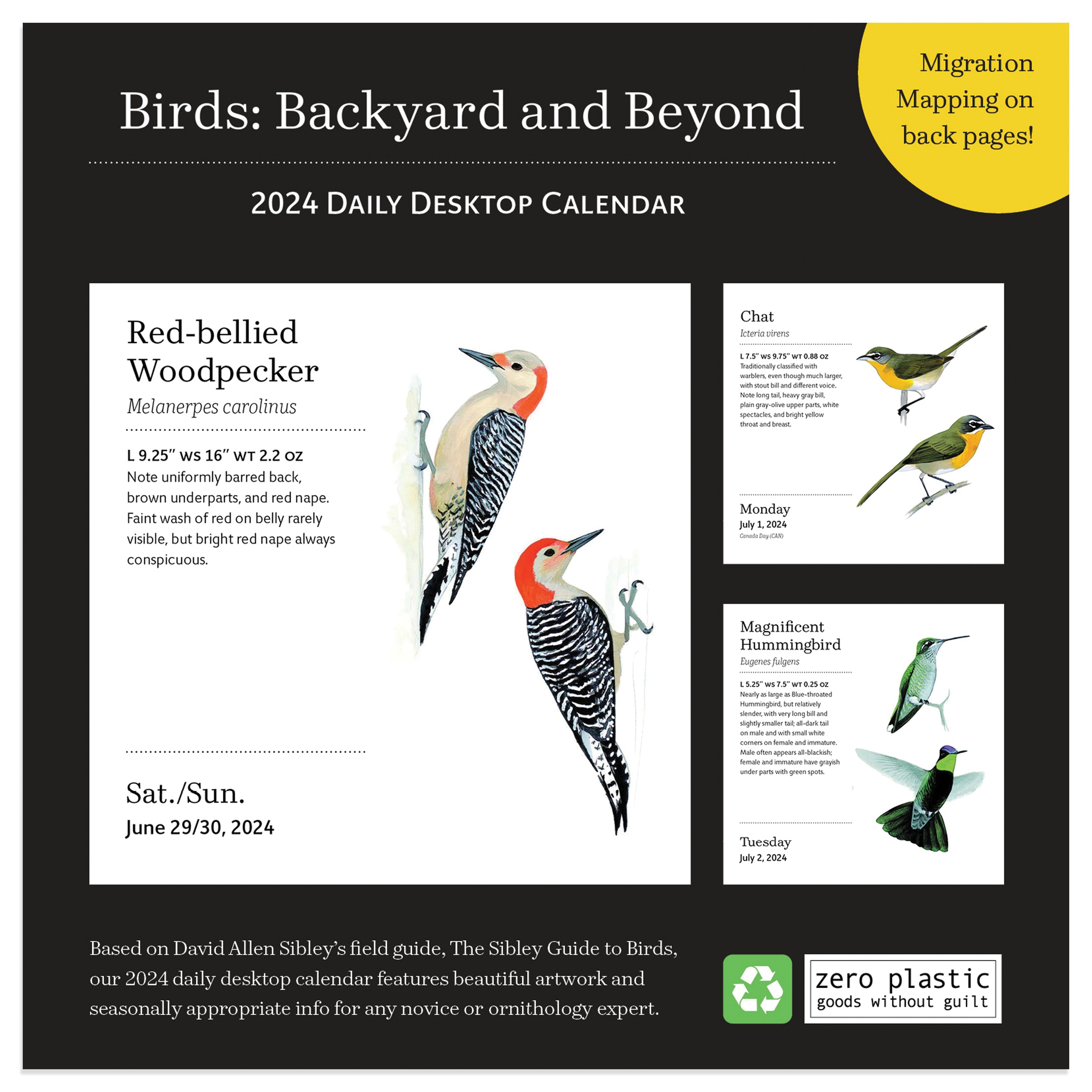 2024 Birds: Backyard & Beyond - Daily Boxed Page-A-Day Calendar