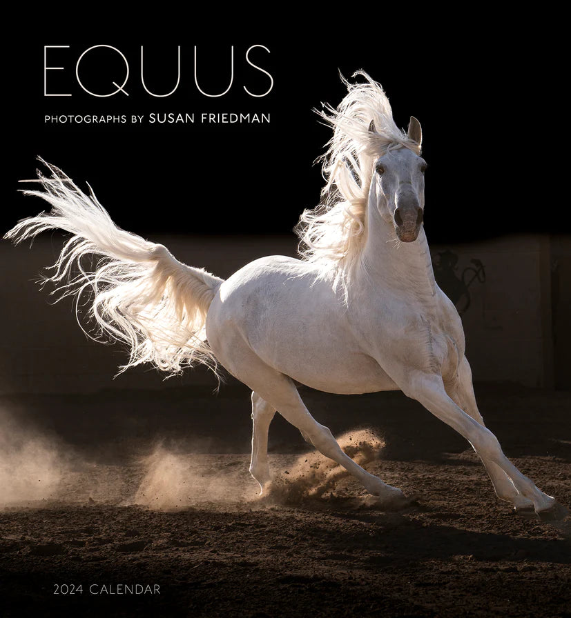 2024 Equus: Photographs by Susan Friedman - Square Wall Calendar  SOLD OUT