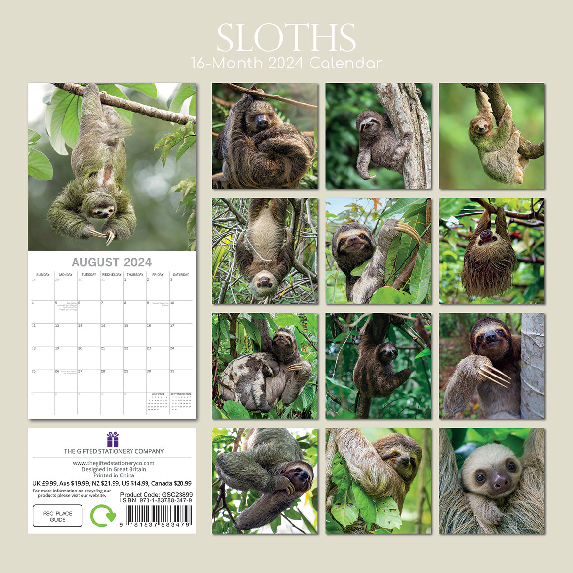 2024 Sloths - Square Wall Calendar