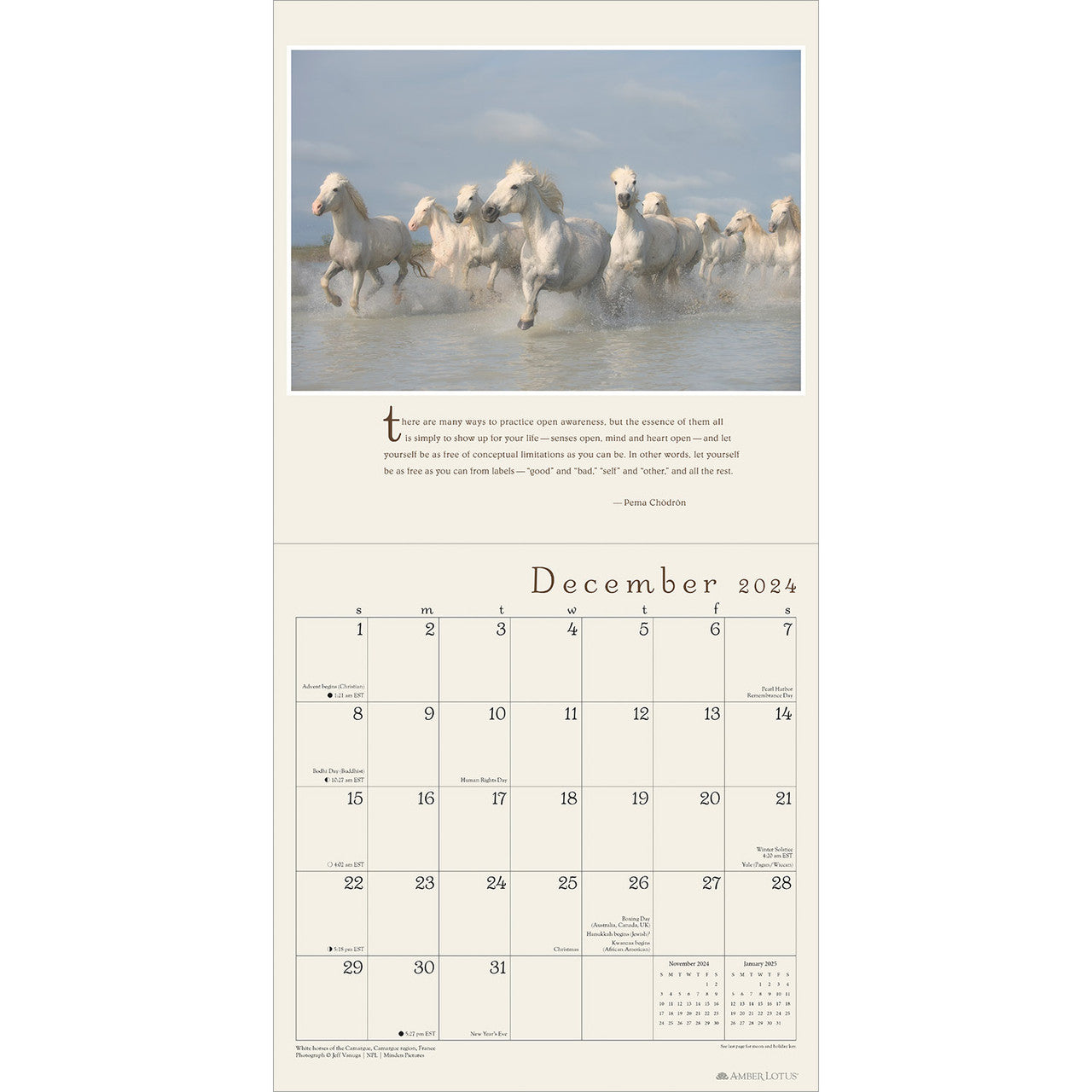 2024 Pema Chodron - Square Wall Calendar