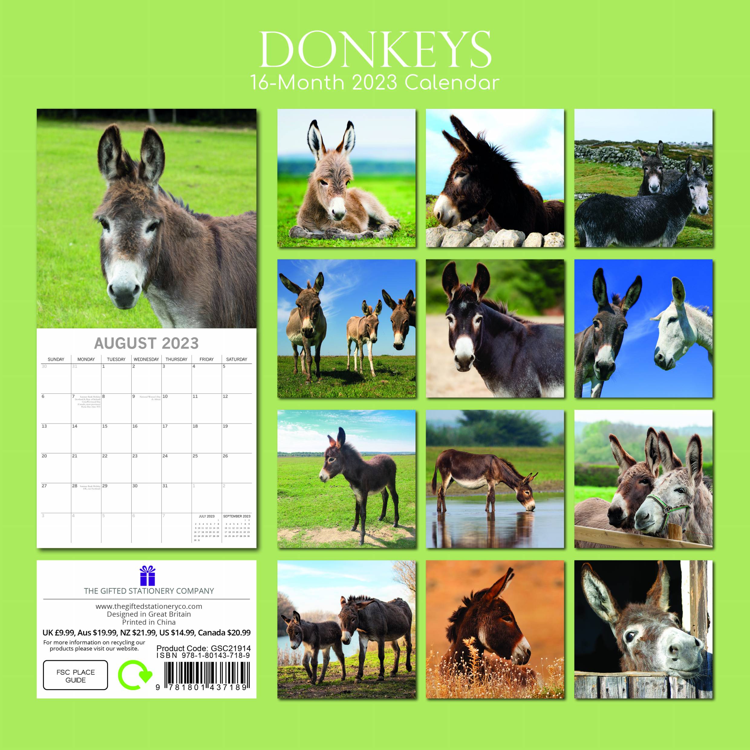 2023 Donkeys - Square Wall Calendar