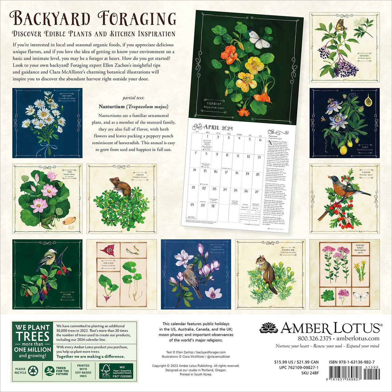 2024 Backyard Foraging - Square Wall Calendar  SOLD OUT