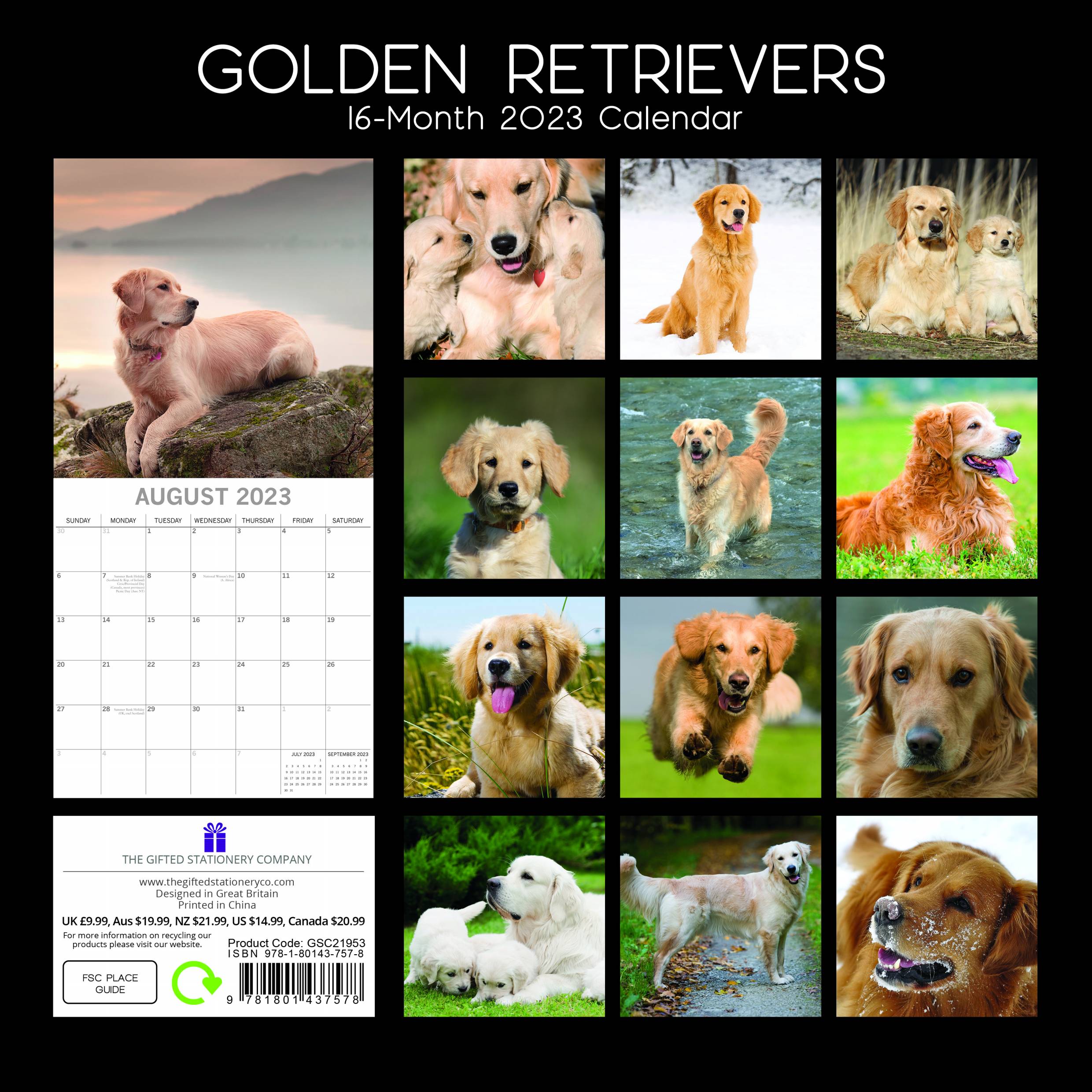 2023 Golden Retrievers - Square Wall Calendar