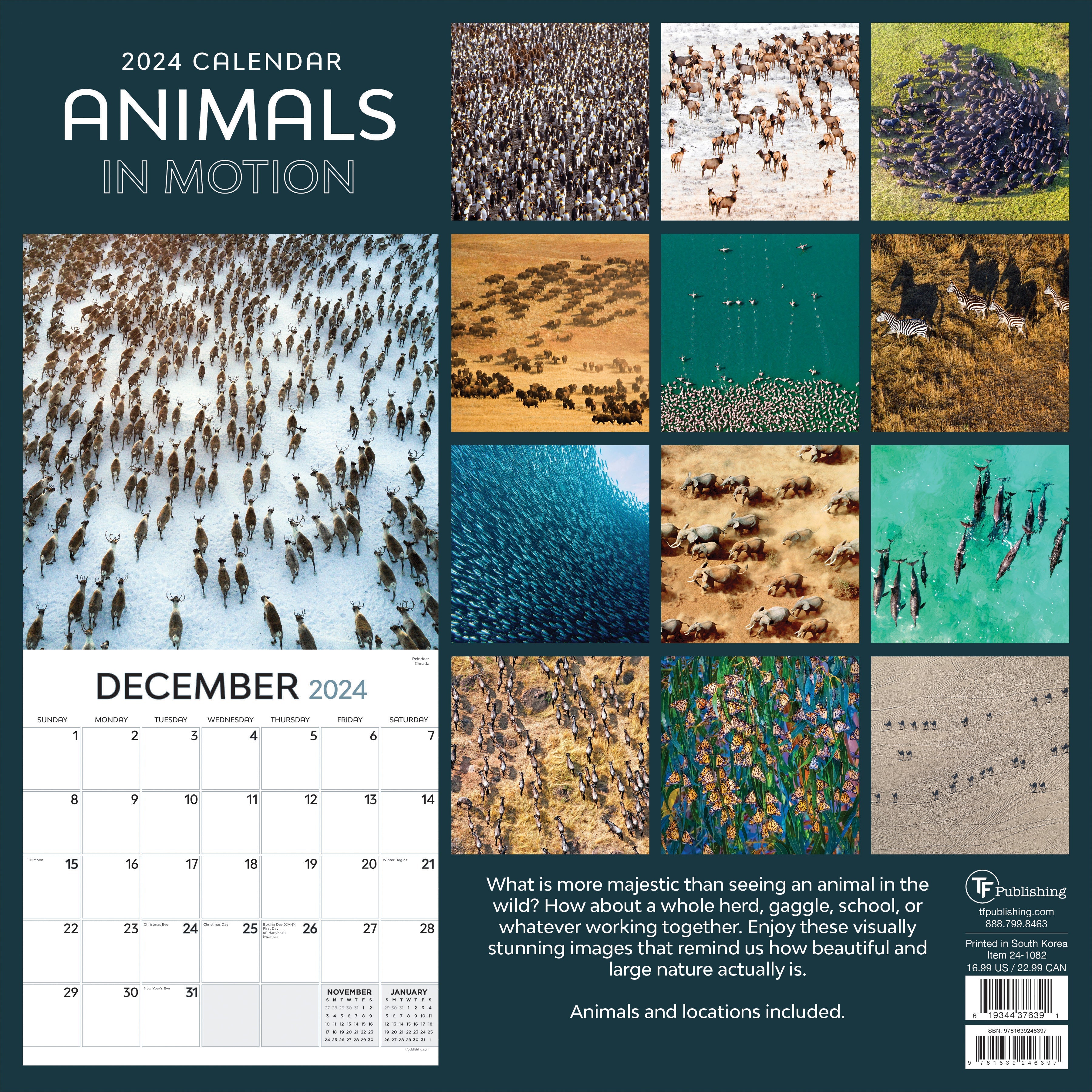 2024 Animals in Motion - Square Wall Calendar