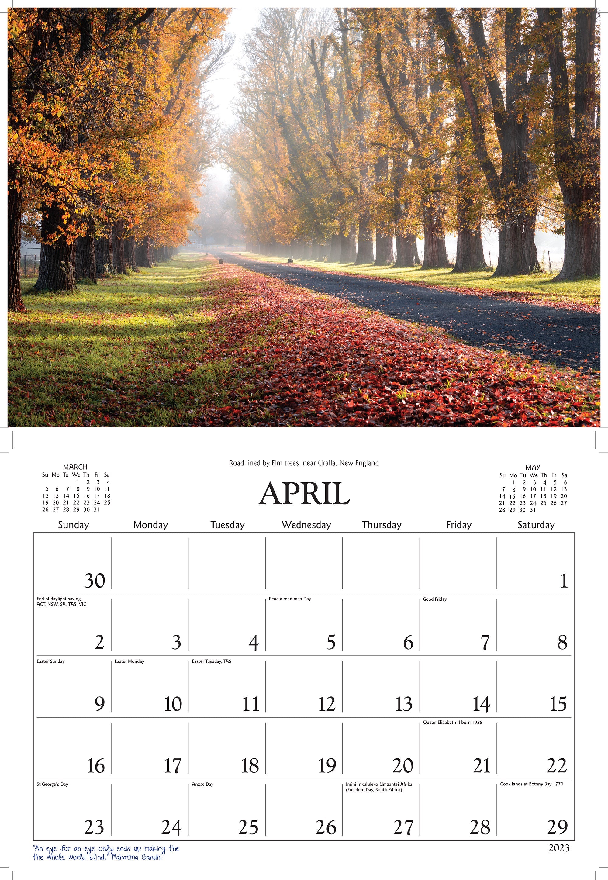 2023 Trees in Australia by David Messent - Horizontal Wall Calendar