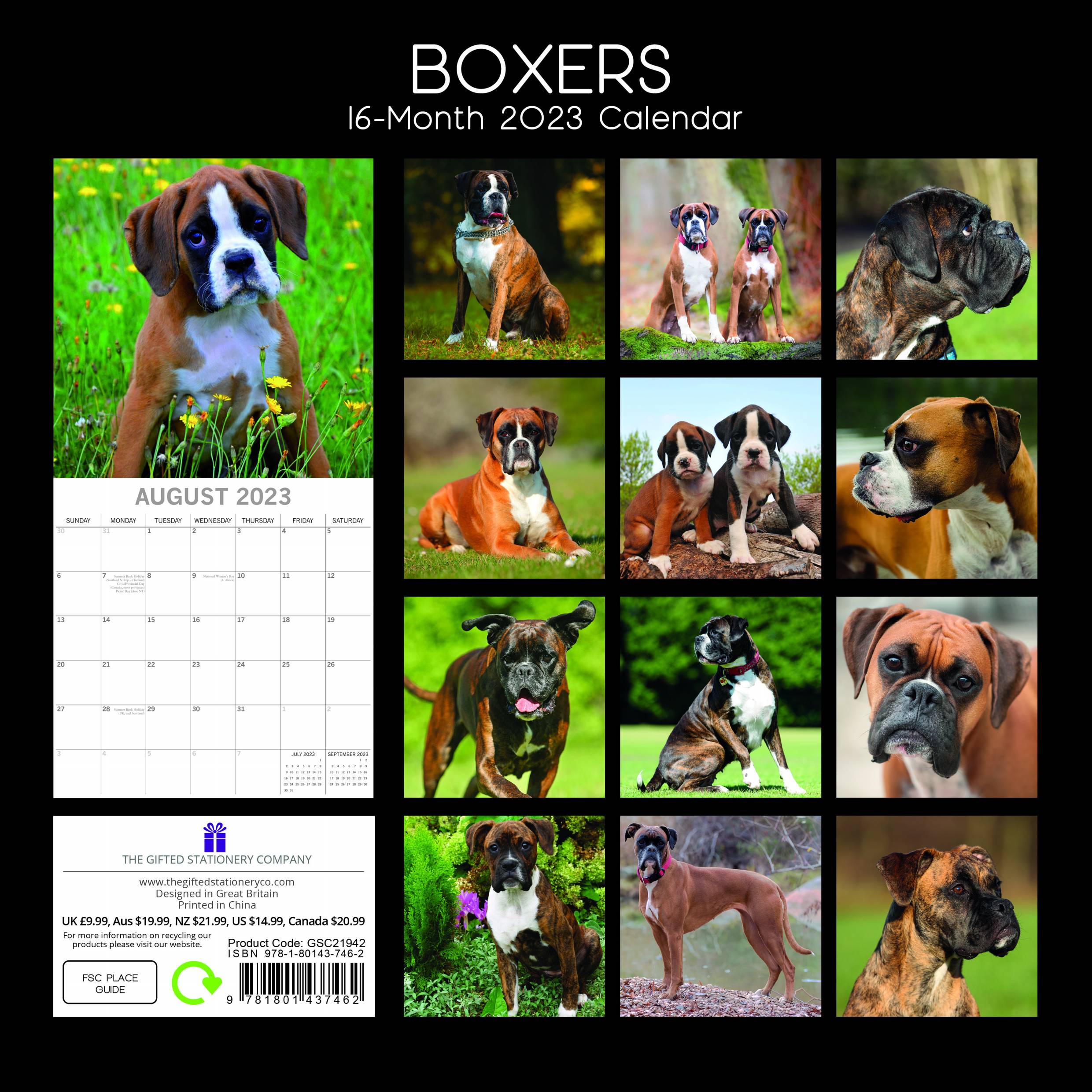 2023 Boxers - Square Wall Calendar