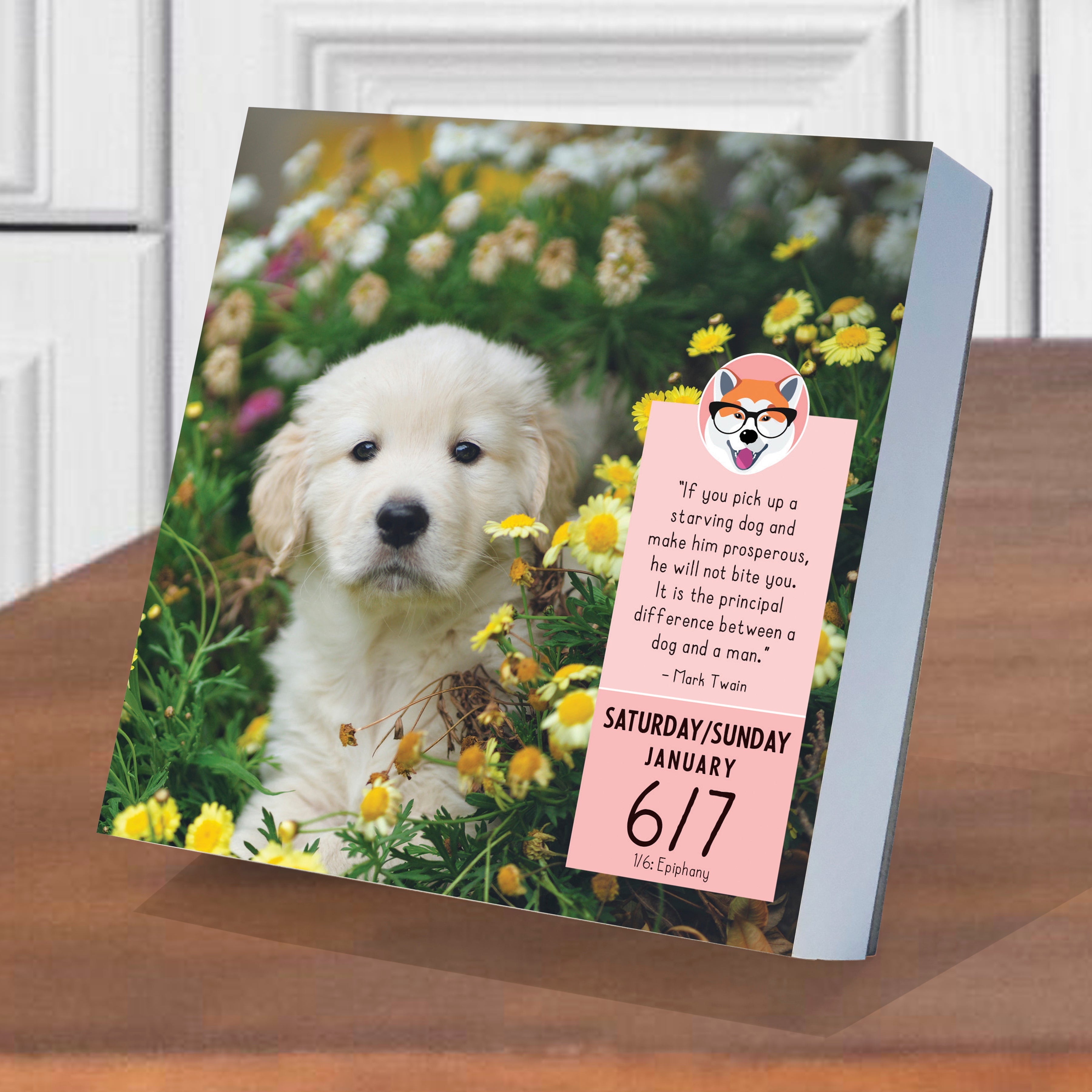 2024 Dog A Day Daily Boxed PageADay Dogs & Puppies Calendars by