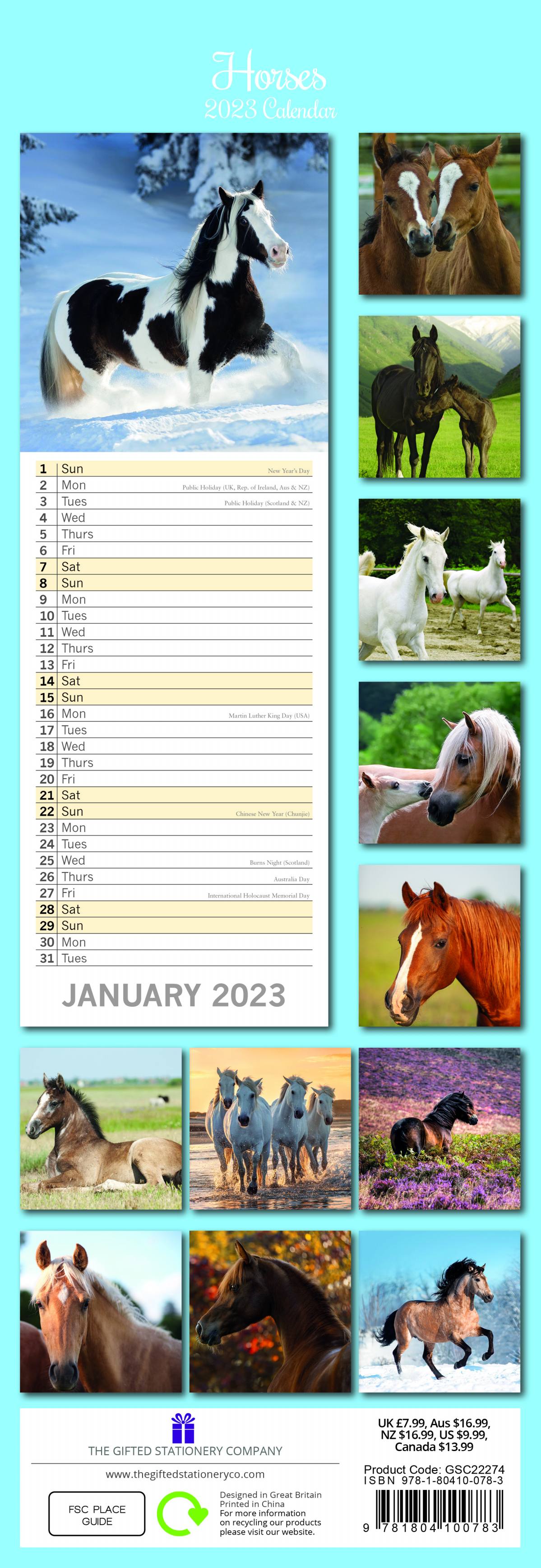 2023 Horses - Slim Wall Calendar