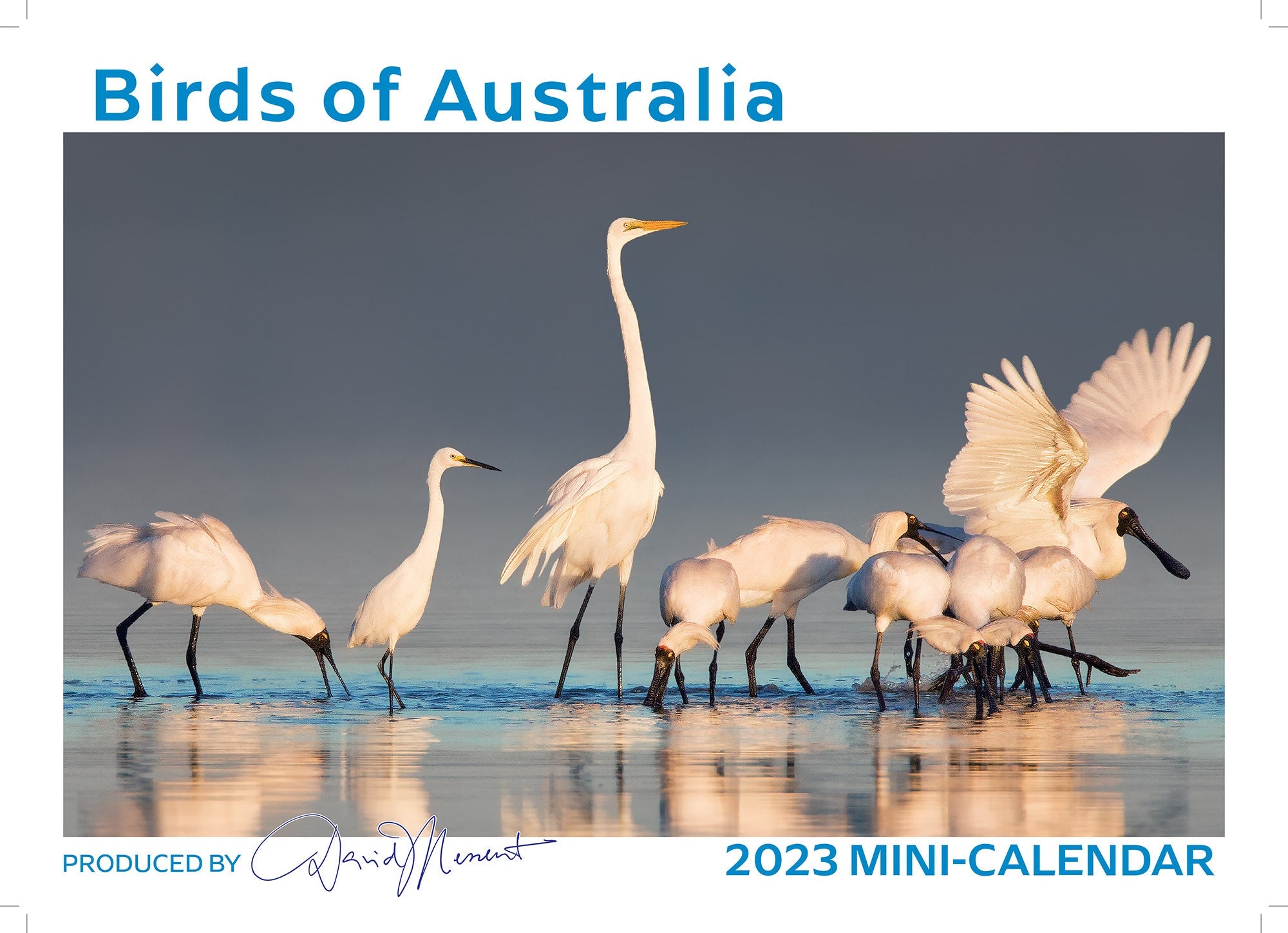 2023 Birds of Australia by David Messent - Mini Pocket Calendar