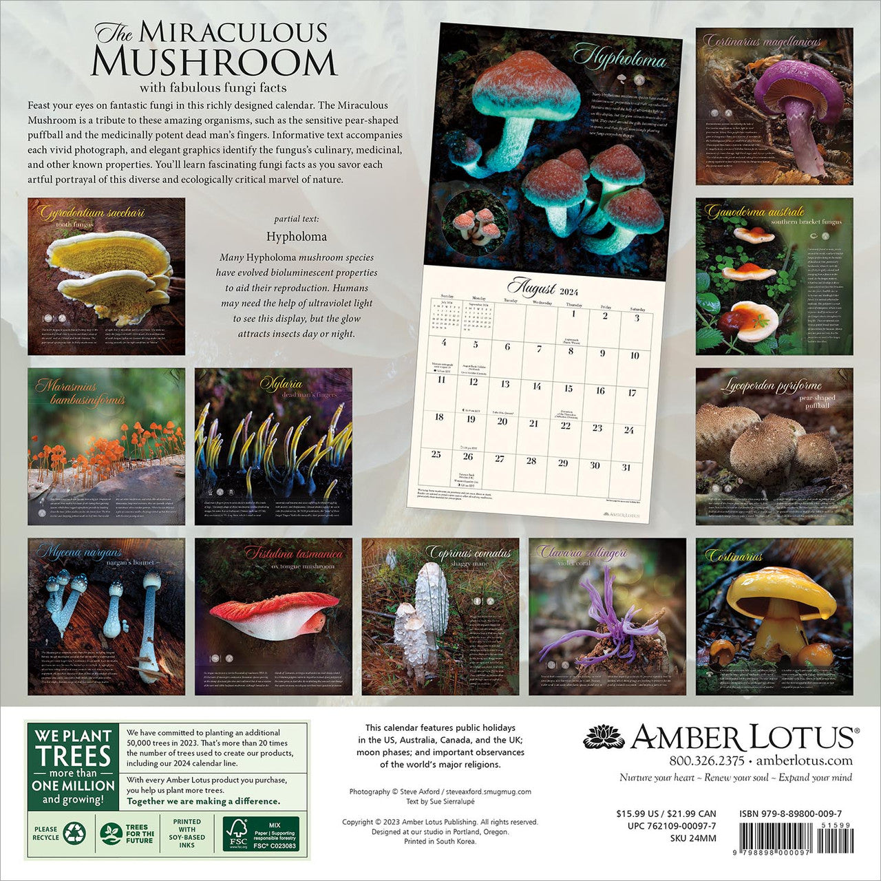 2024 Miraculous Mushroom - Square Wall Calendar  SOLD OUT