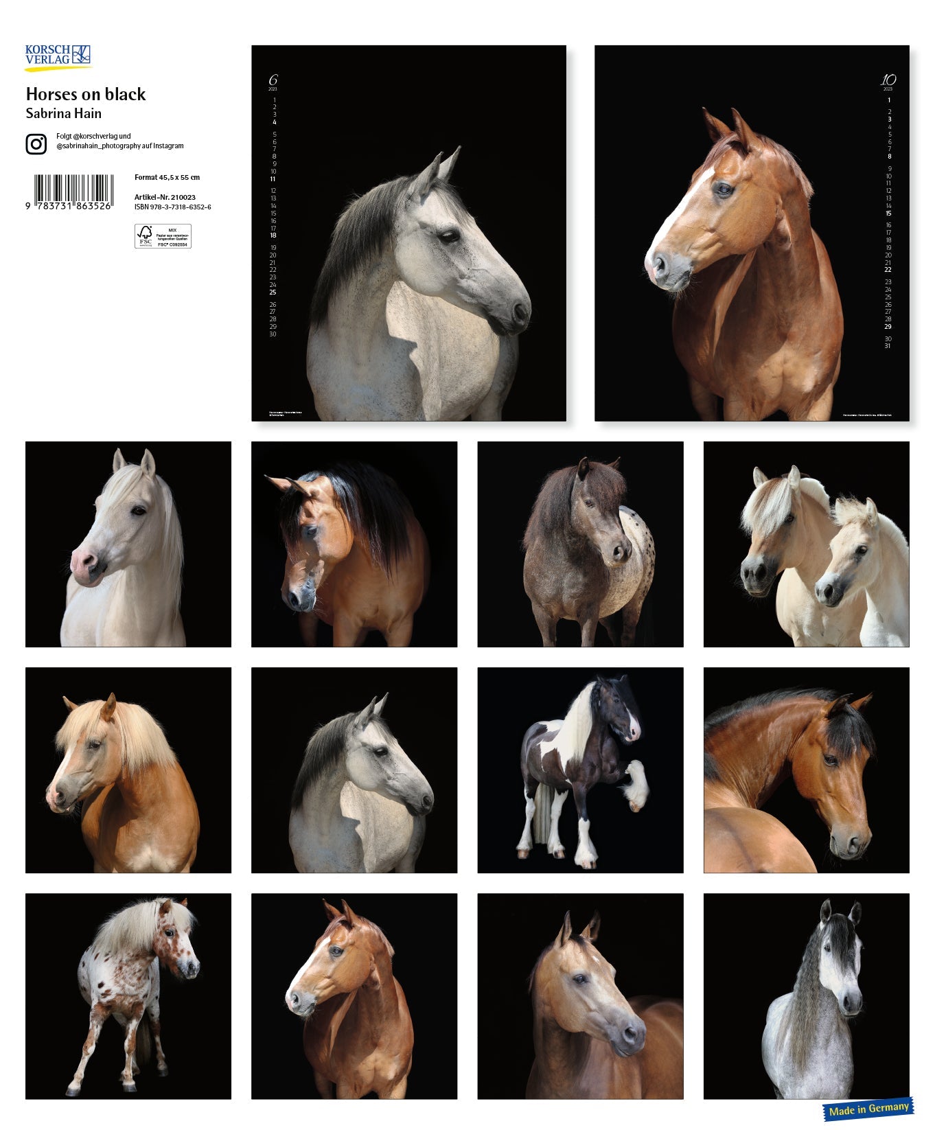 2023 Horses on Black (Large) - Deluxe Wall Poster Calendar