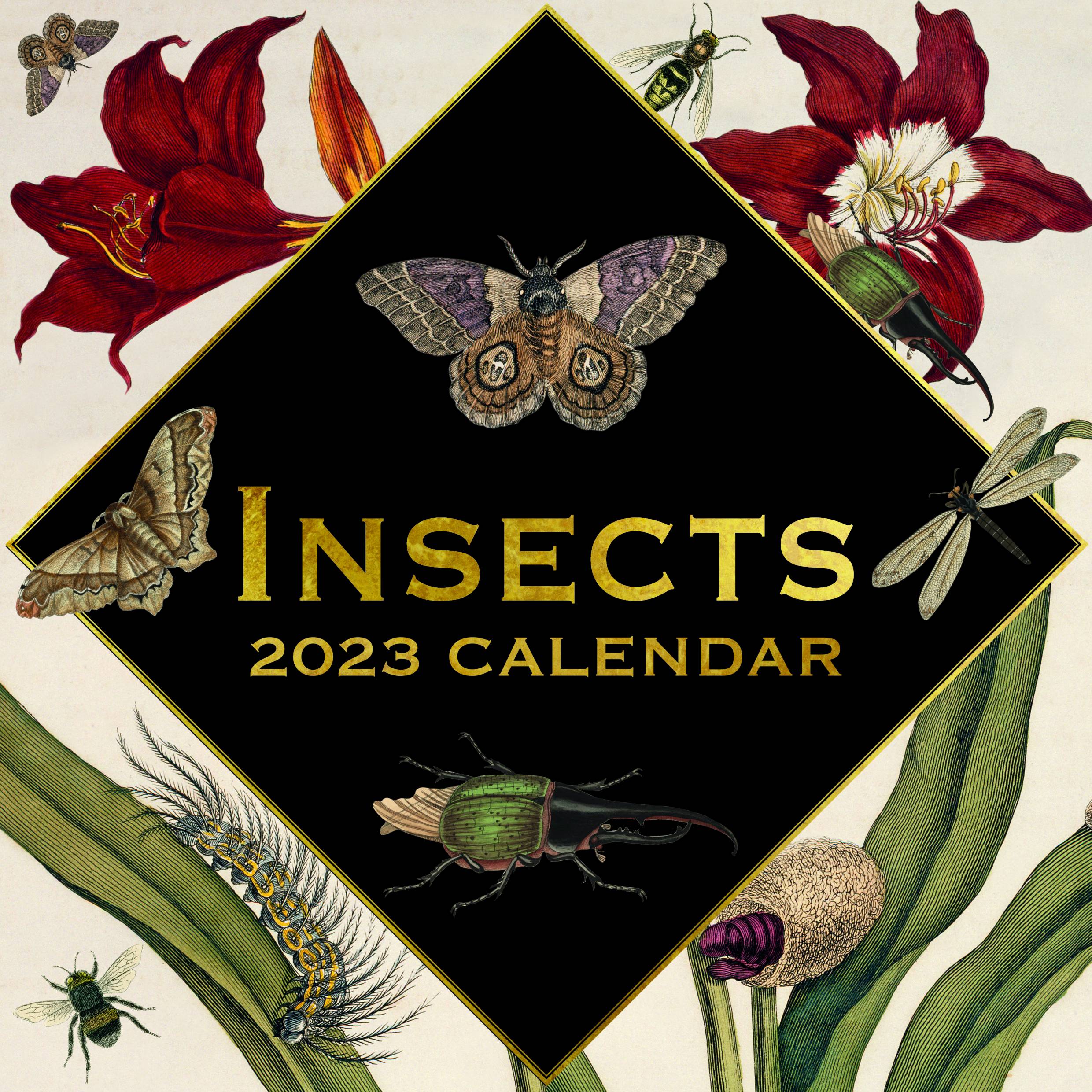 2023 Insects - Square Wall Calendar