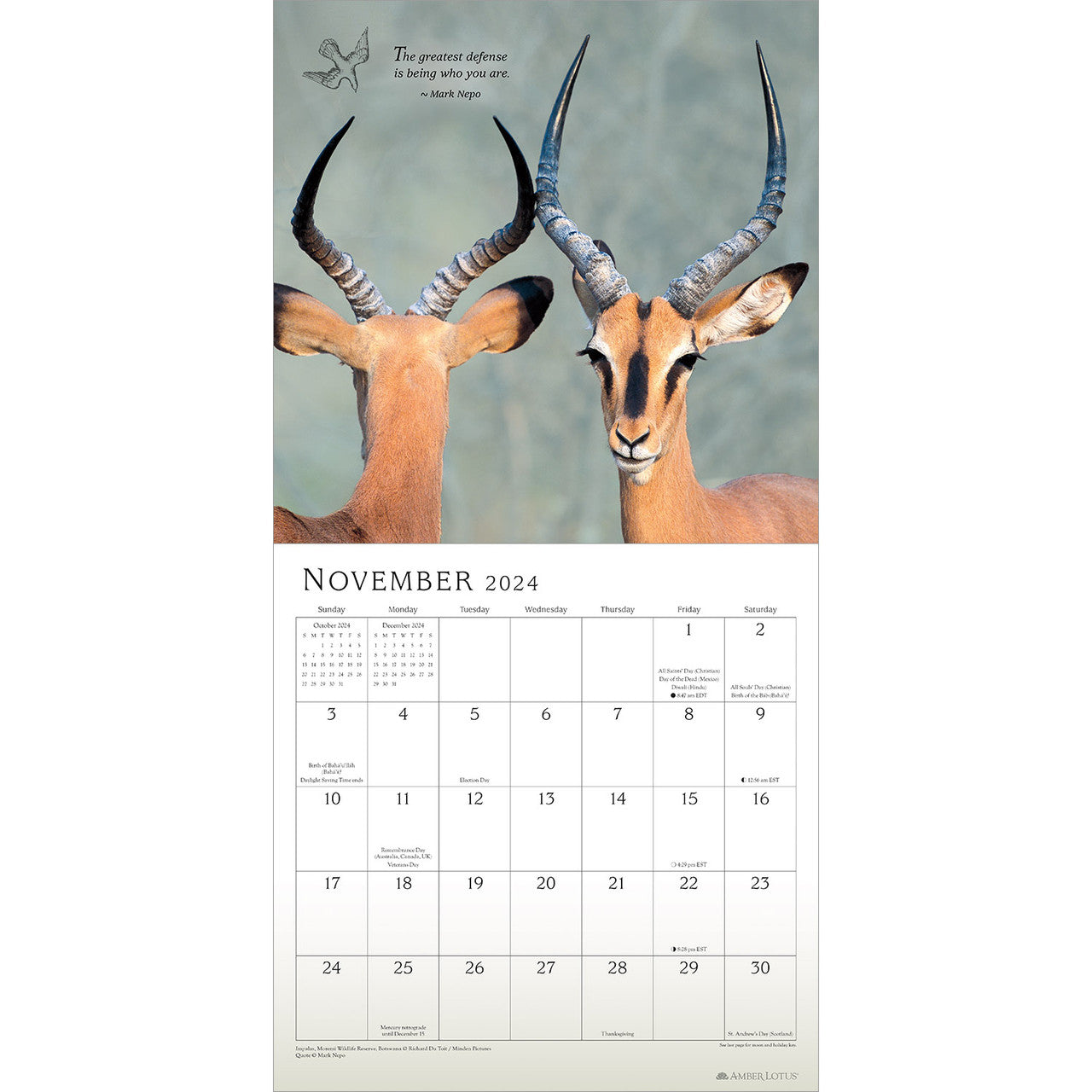 2024 Mark Nepo - Square Wall Calendar  SOLD OUT