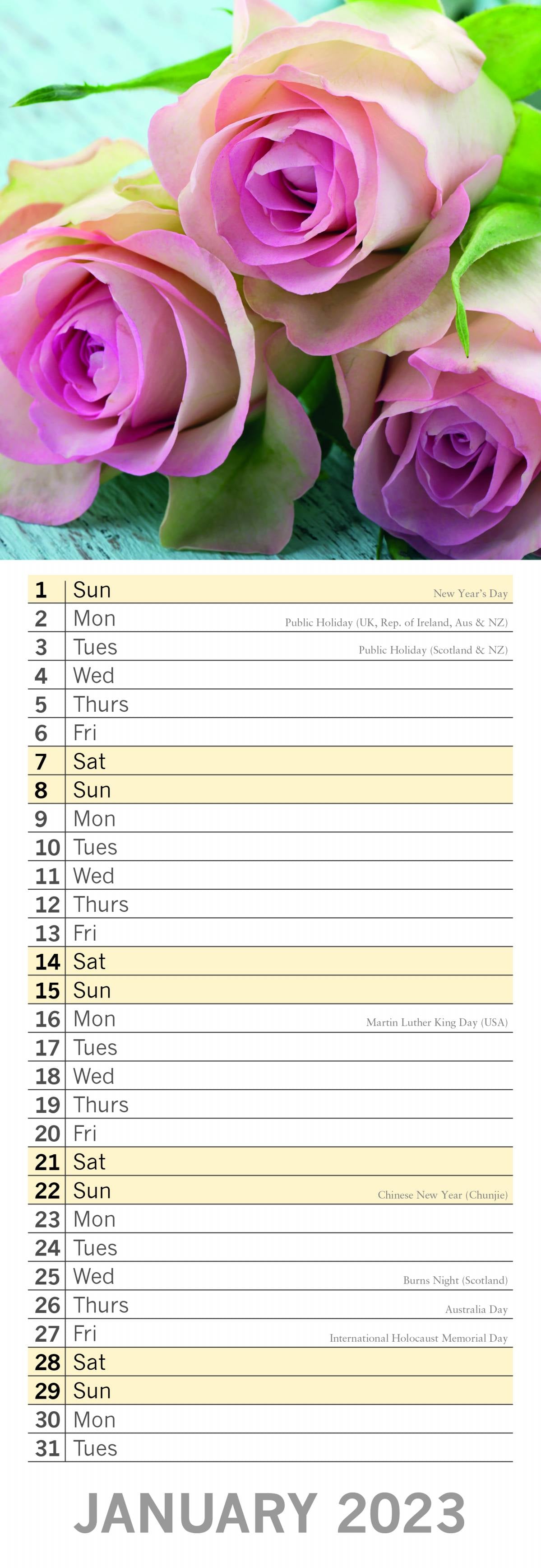 2023 Roses - Slim Wall Calendar
