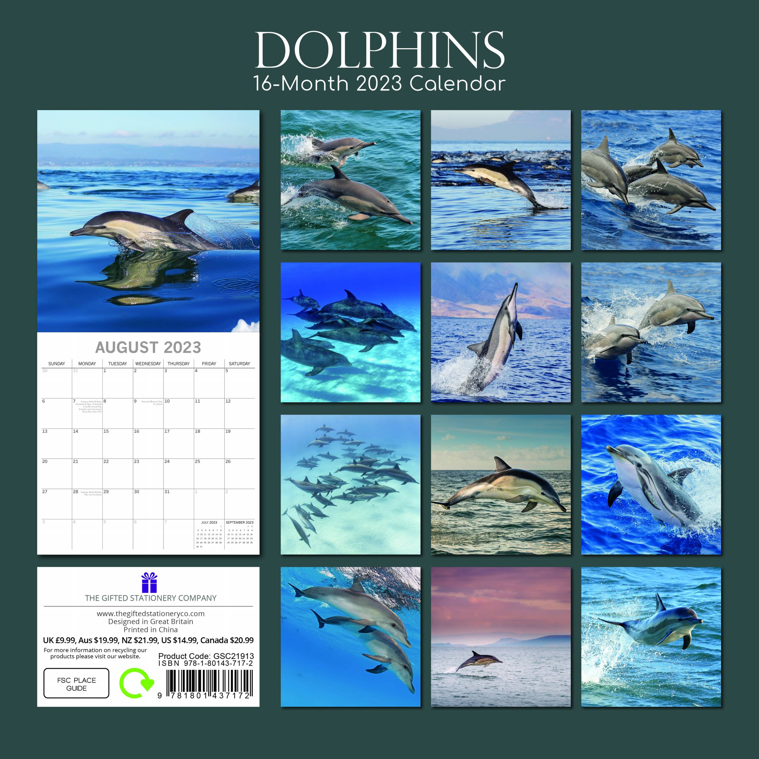2023 Dolphins - Square Wall Calendar