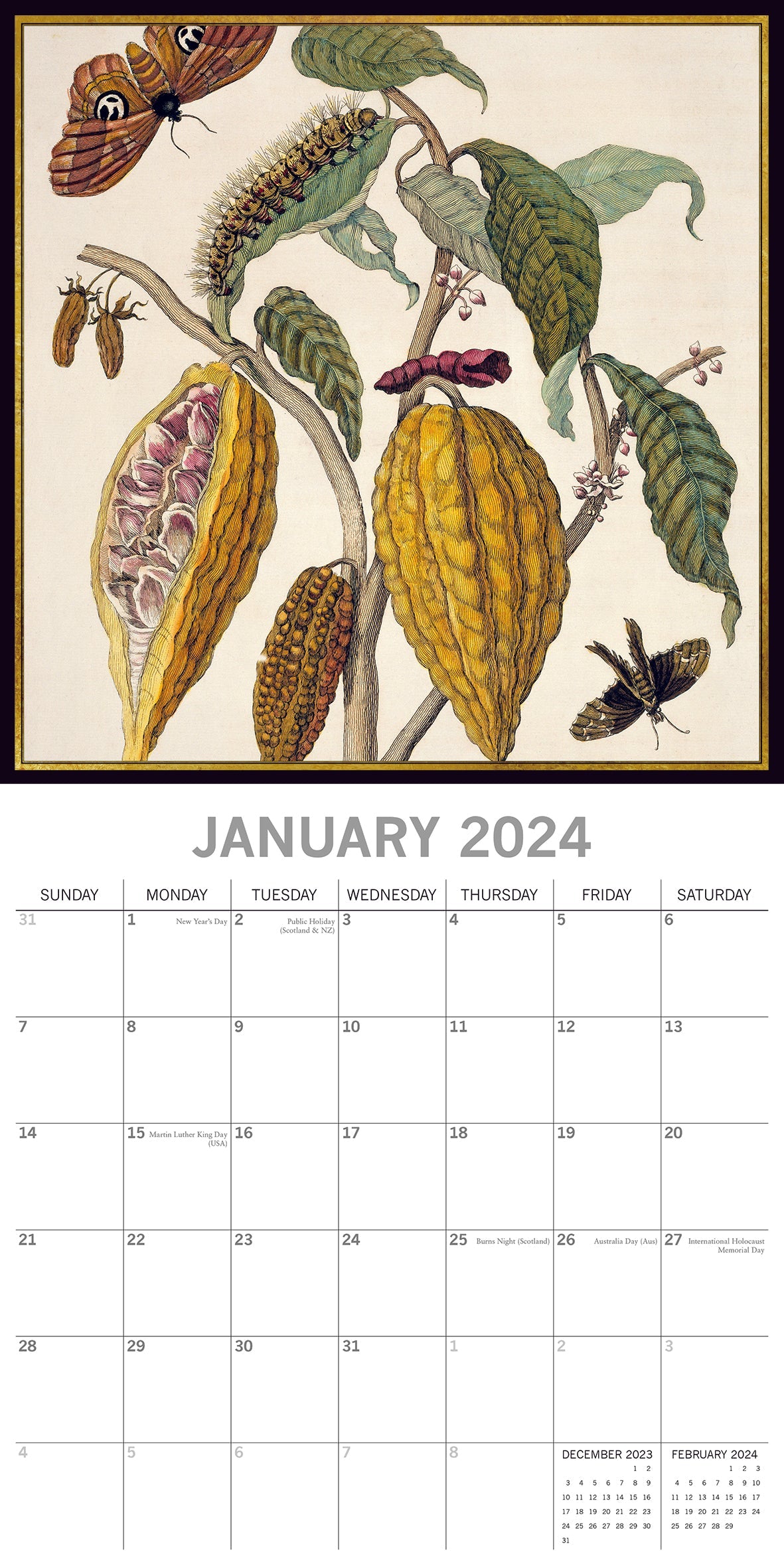 2024 Insects Square Wall Calendar Art Calendars by The Gifted