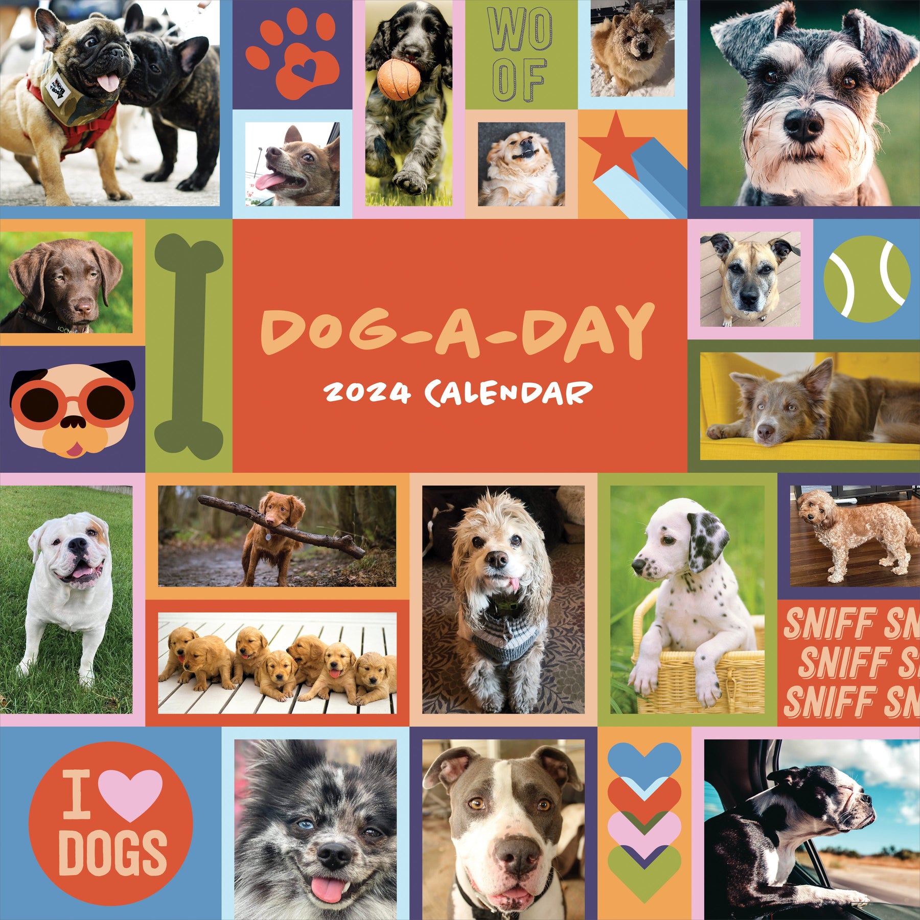 2024 DogADay Square Wall Calendar Dogs & Puppies Calendars by TF